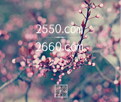 2550.com
