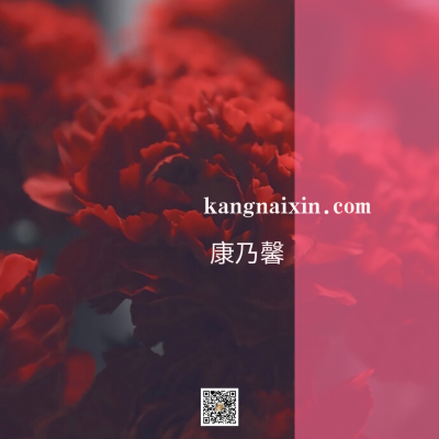 kangnaixin.com