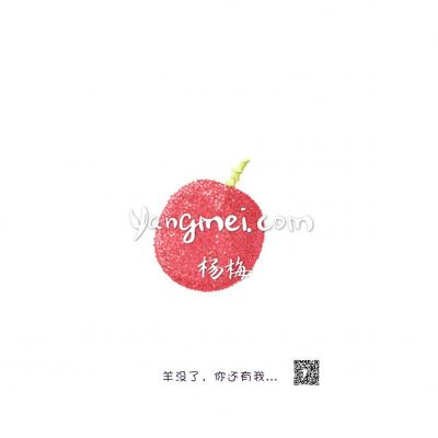yangmei.com