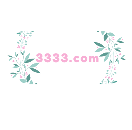 3333.com