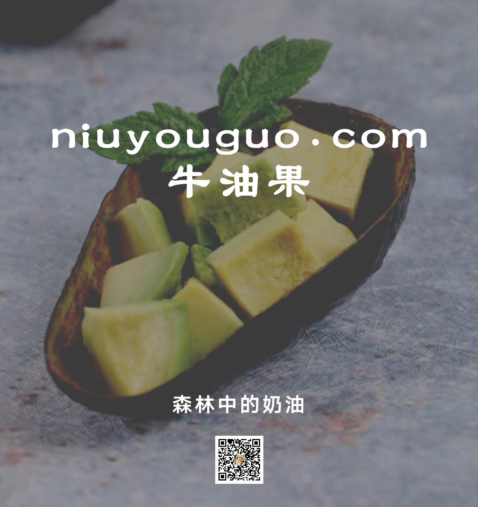 应用赏析 应用赏析